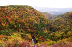 横谷渓の秋