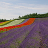 想い出の北海道1