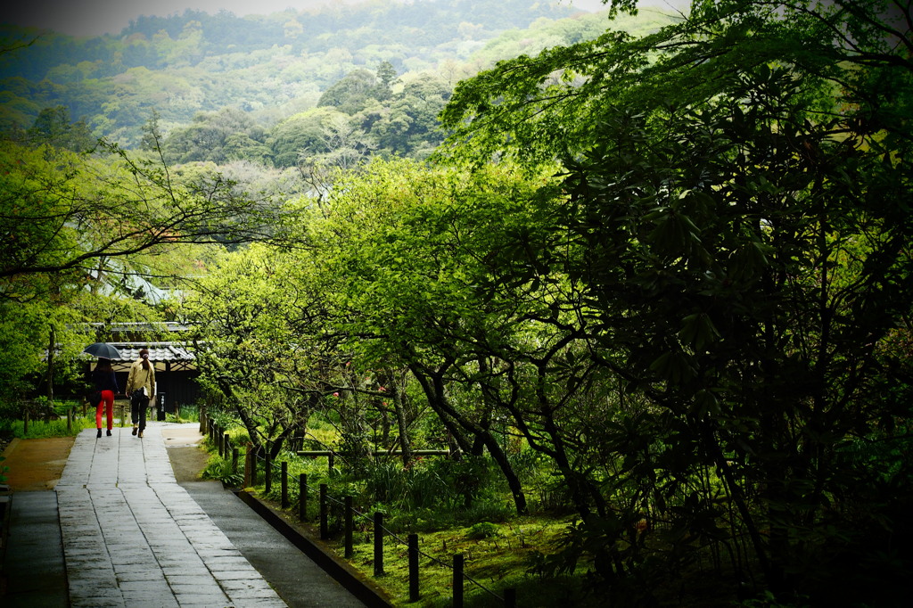 古刹逍遥Ⅰ(東慶寺)