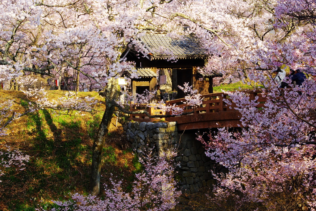 問屋門高遠(2007/4-Ⅳ）