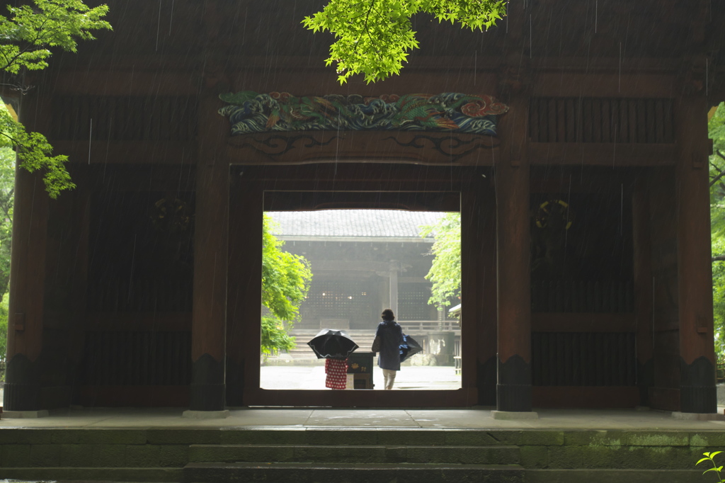 五月雨の中