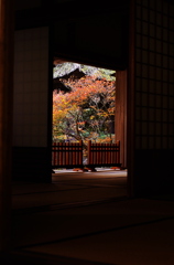 201011報国寺　紅残りて