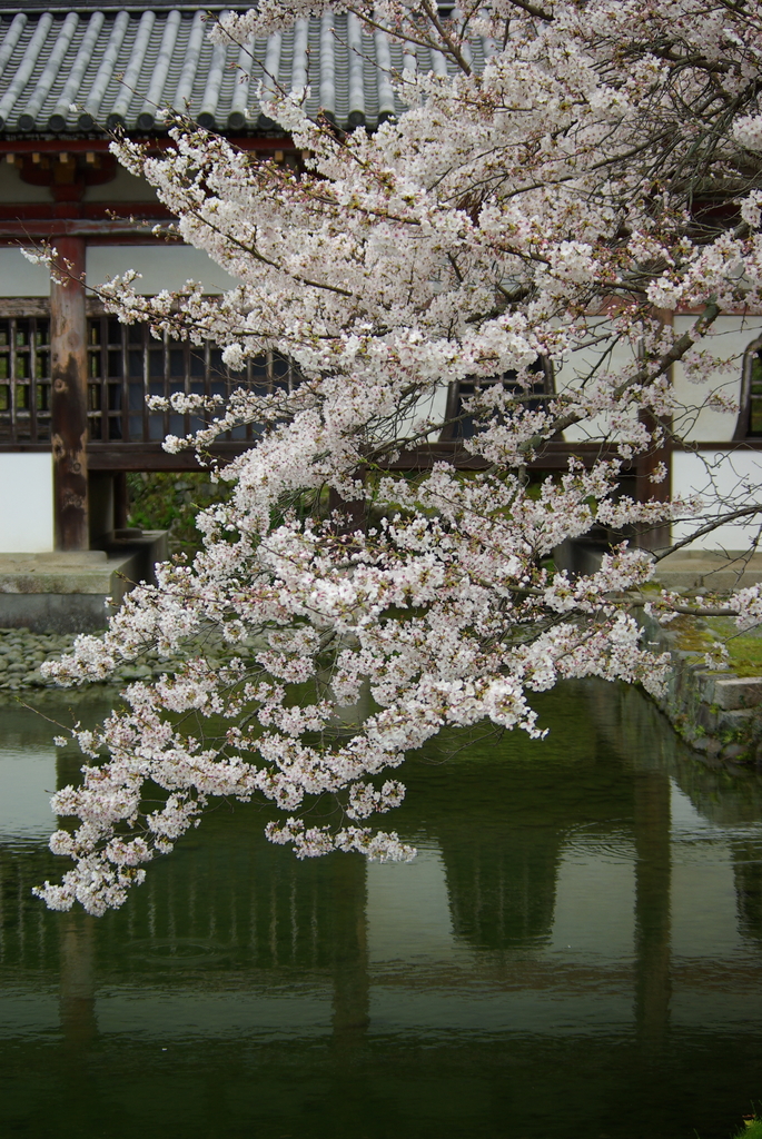 京都（2007／4-2）
