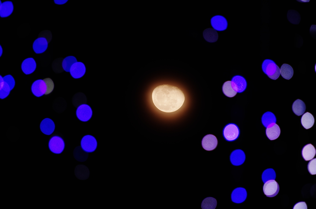 DANCING WITH MOON