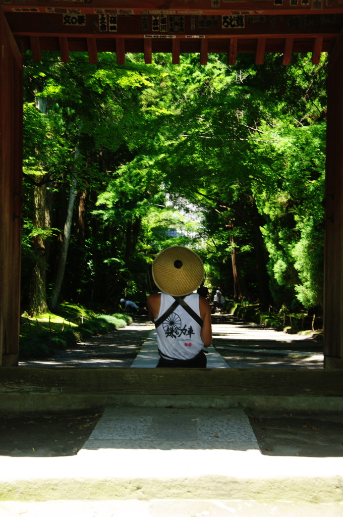 古都の梅雨明けⅡ寿福寺(先客)