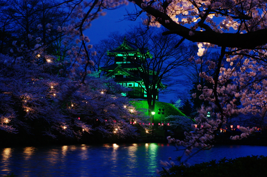 寒戻り　夜桜撮りで　風邪をひき