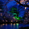 寒戻り　夜桜撮りで　風邪をひき
