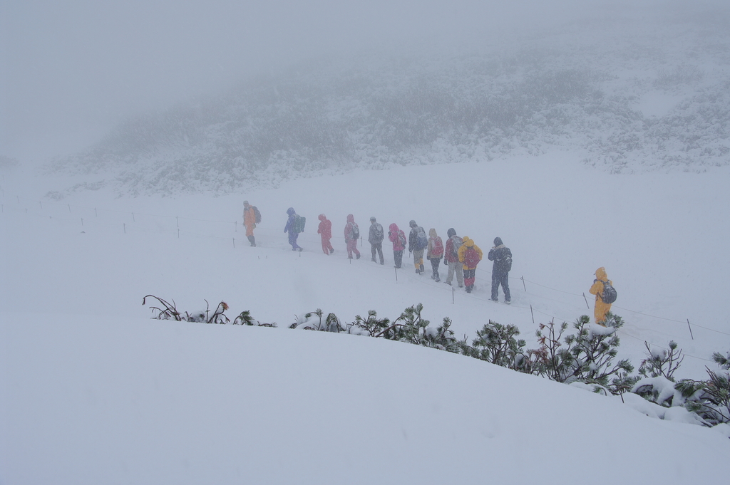 2008秋・雪だ