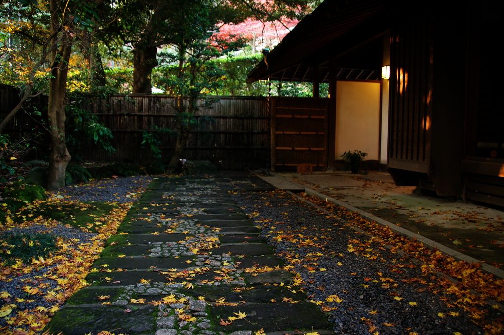 鎌倉紅葉情報Ⅹ（お茶席へどうぞ）