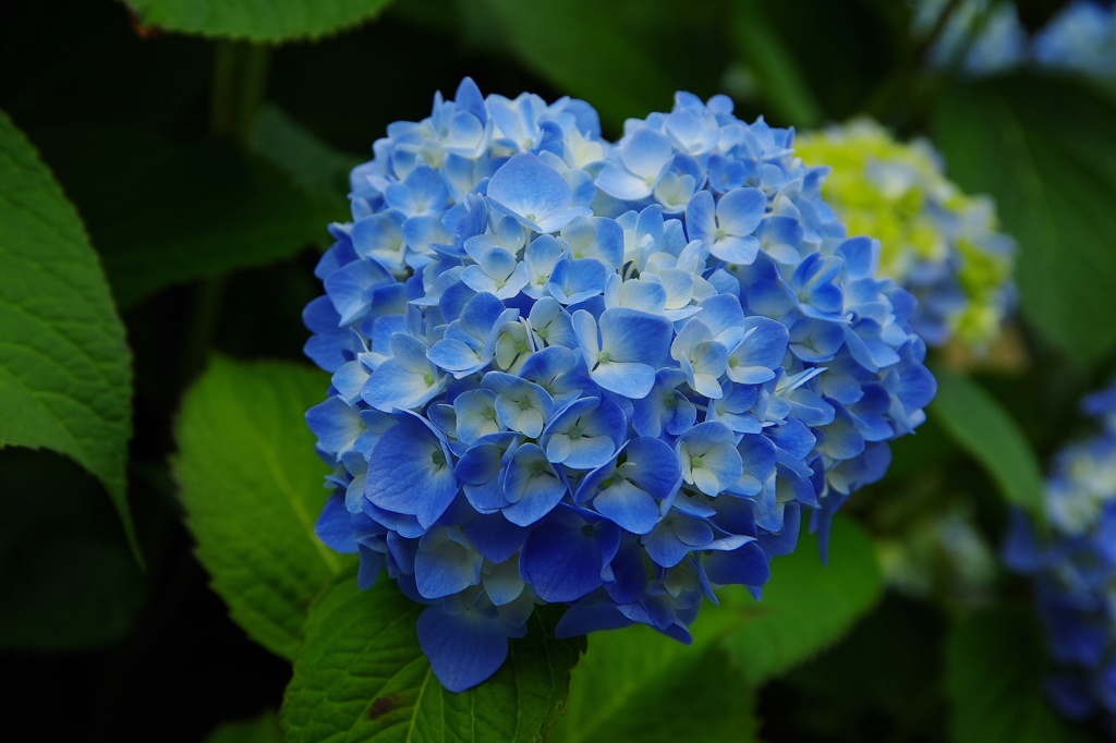 FOR YOU