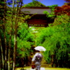 行く夏を惜しんでⅤ（秋の気配も）