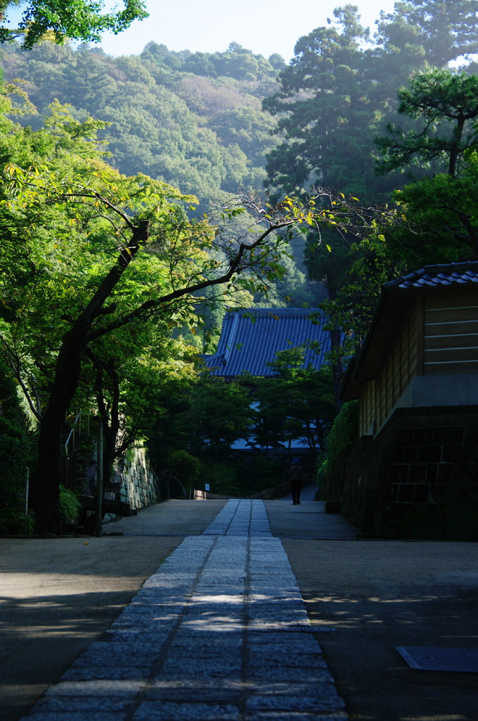 鎌倉秋色情報Ⅲ（円覚寺）