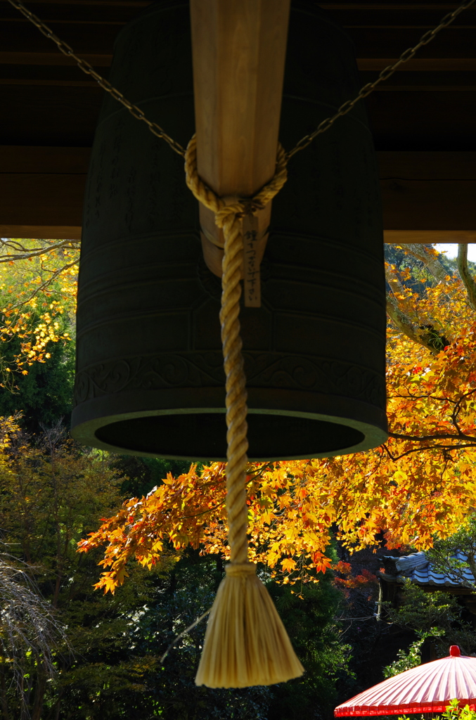 鎌倉紅葉情報2-3（海蔵寺）