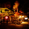 惜秋　長谷寺ライトアップ2