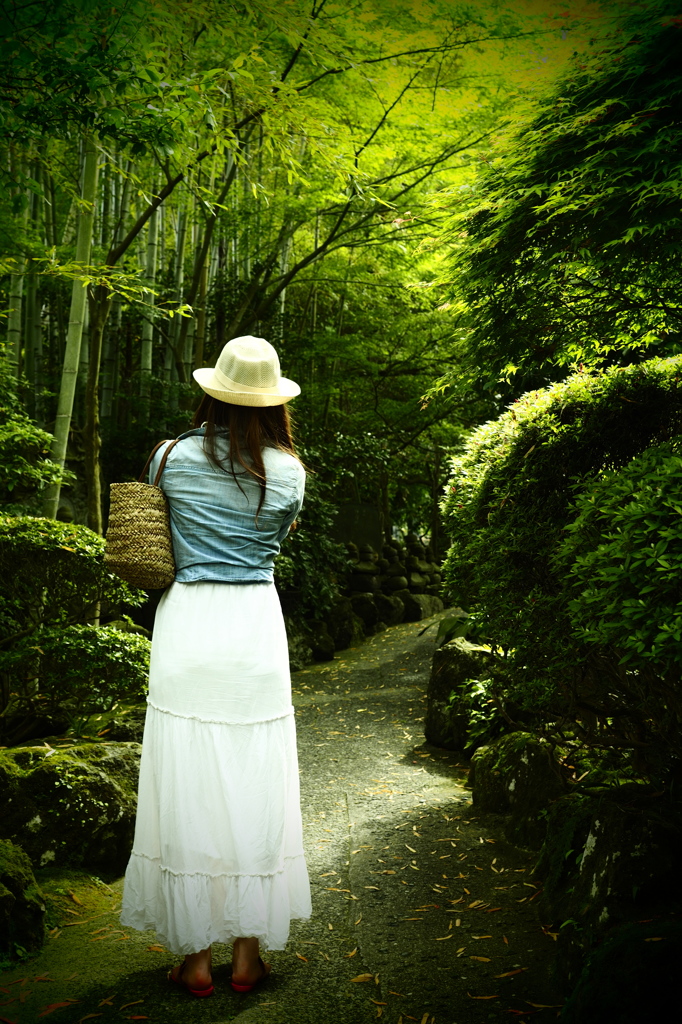 良いの撮れましたかⅡ（報国寺）