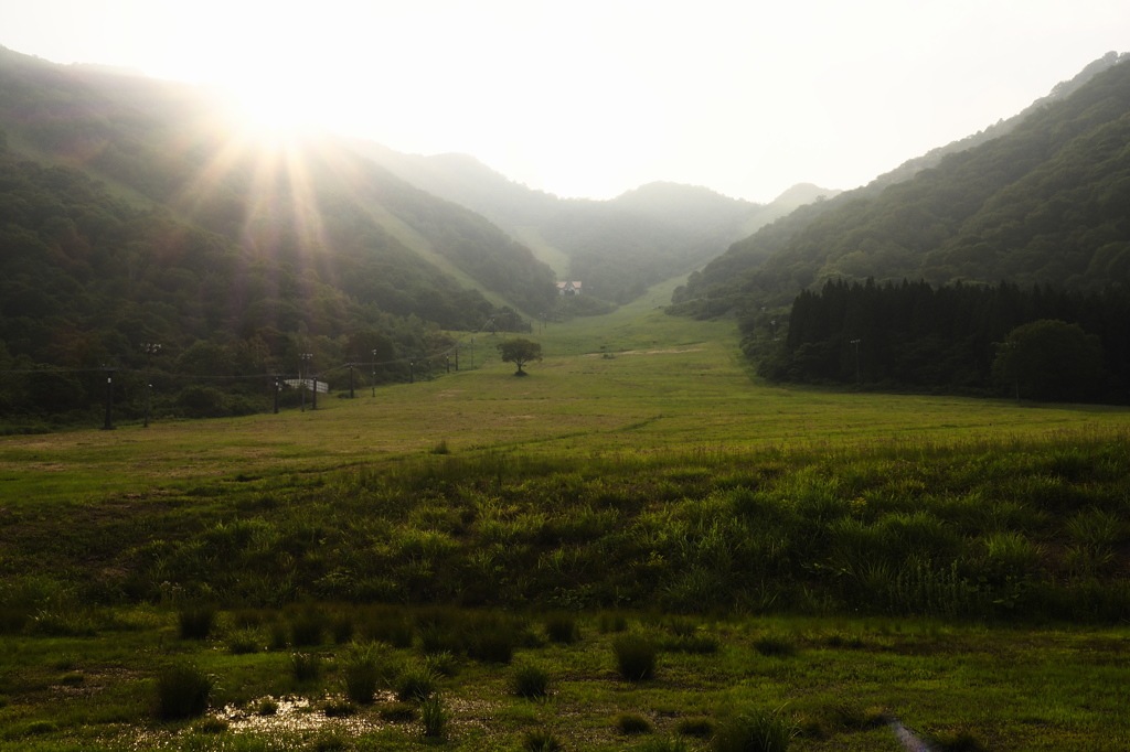 山の端きらり