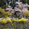 山里の春Ⅰ