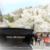 旅の思い出