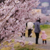 春木径のお散歩