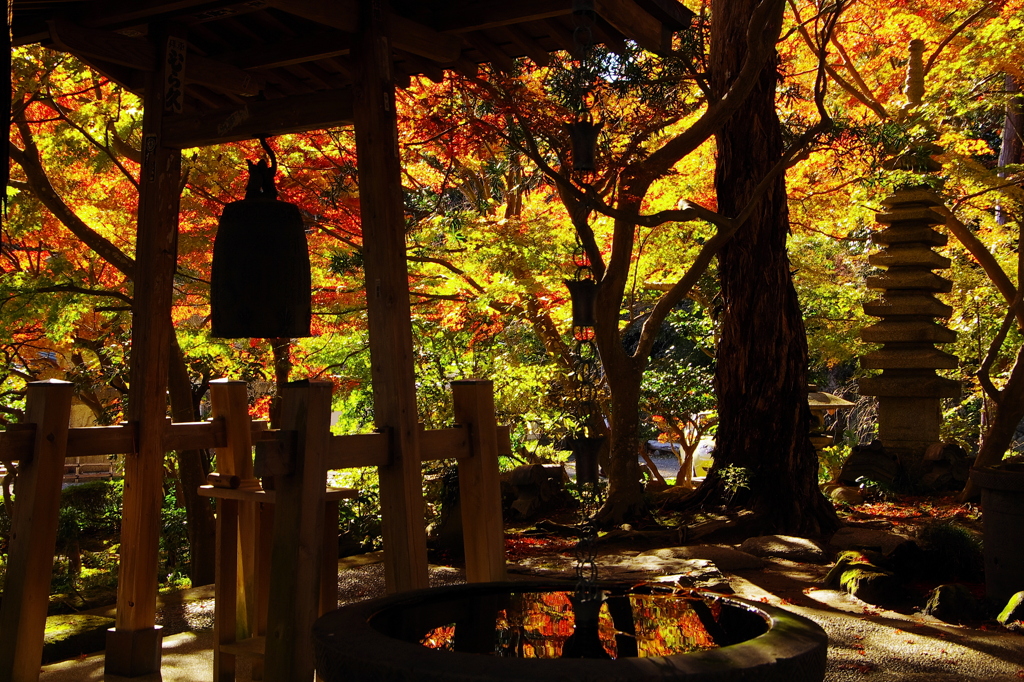 鎌倉紅葉情報2-9（覚園寺）