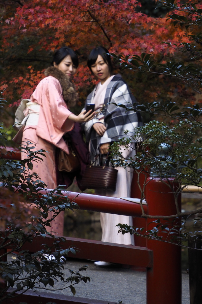 良いの撮れましたかⅨ（鶴岡八幡宮）