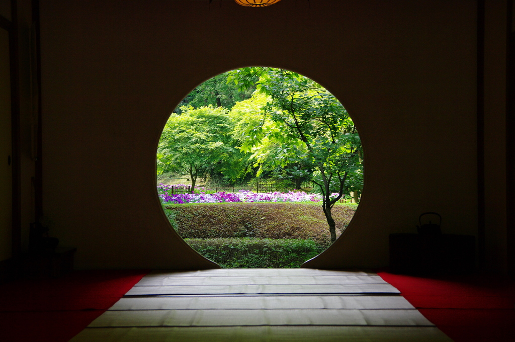 20080607北鎌倉明月院