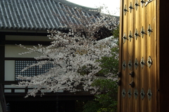 京都（2007／4-1）