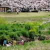 川べり探検隊