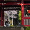 往く春（最乗寺仁王門）