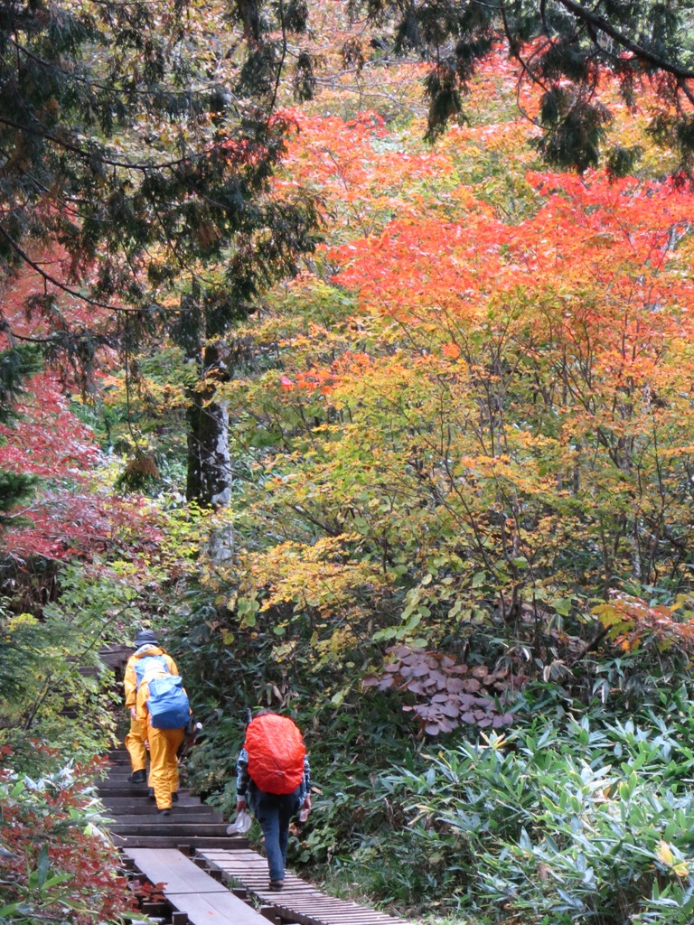 紅燃えて