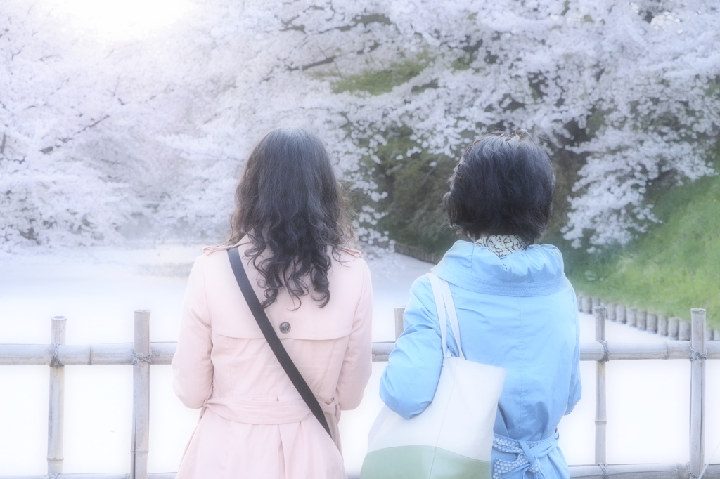 来て良かったね