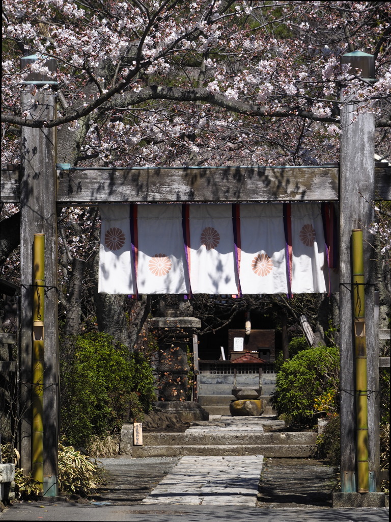 鎌倉花姿（五大堂明王院（みょうおういん））