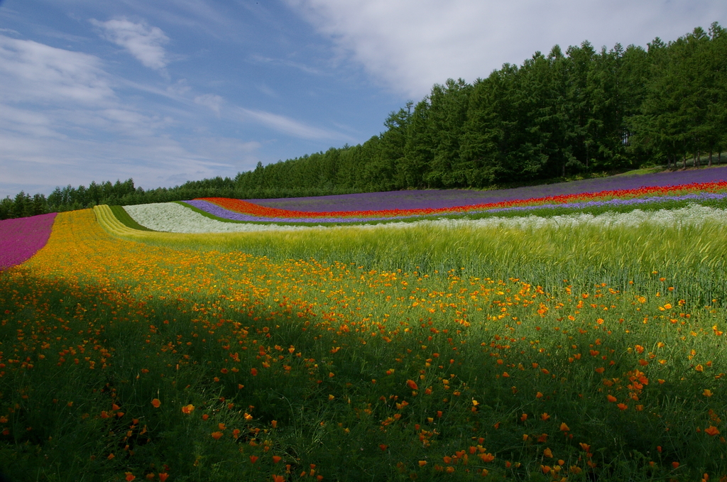 想い出の北海道2（2006/7）