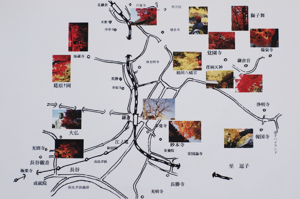 鎌倉紅葉地図（ご参考:皆様に感謝をこめて）