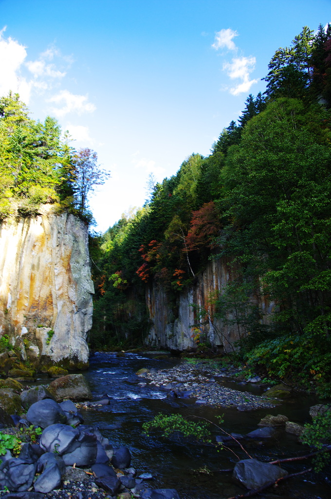 2008秋北海道紅葉情報7