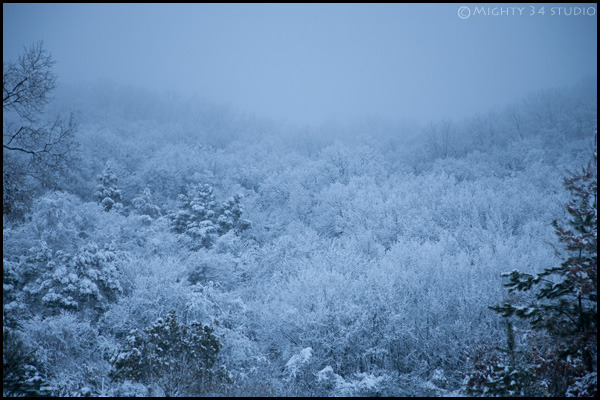 2011香川雪景色