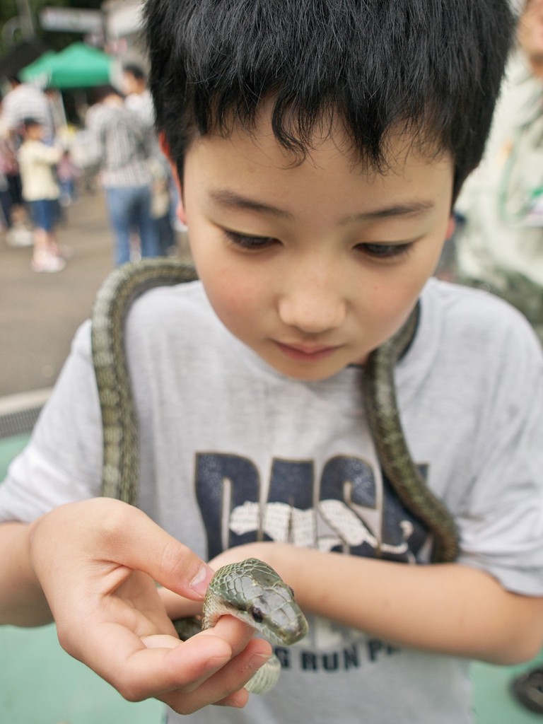 蛇も好き