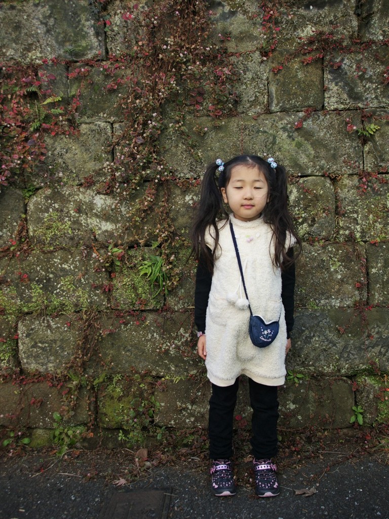 幼稚園の石垣