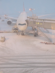 雪の千歳空港