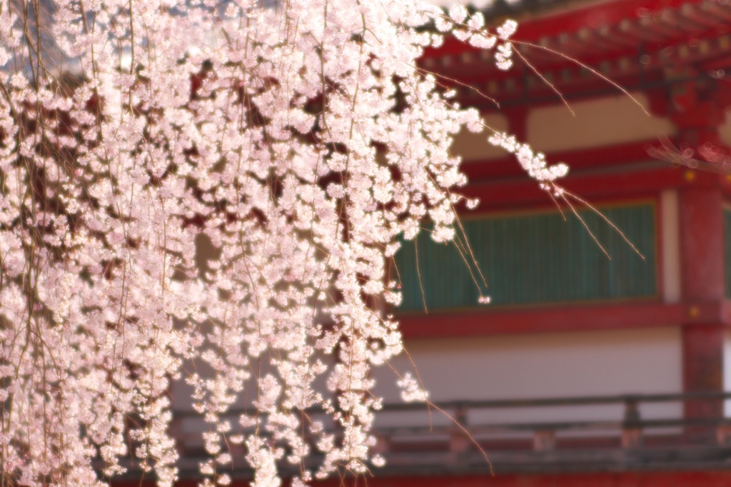 醍醐寺