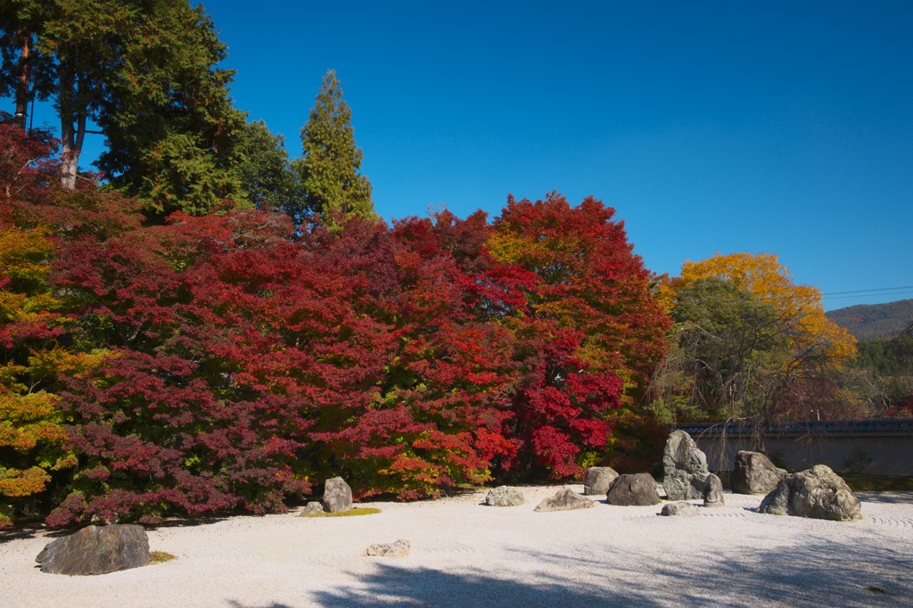 _DSC6795実相院