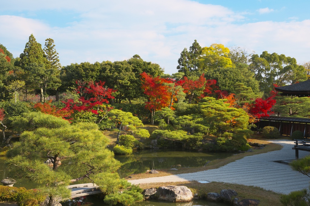 _DSC6663仁和寺