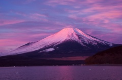 朝日を浴びて