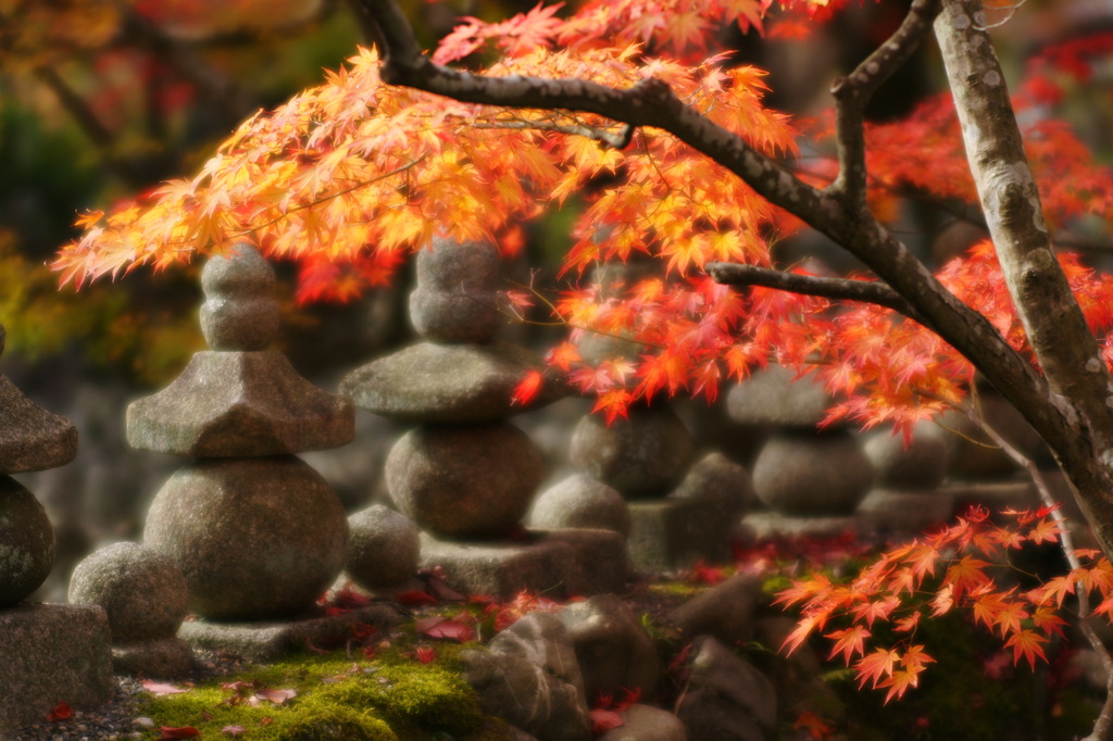 あだしの念仏寺
