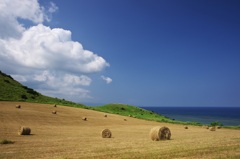 石垣島