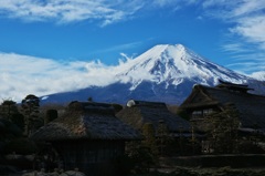 忍野