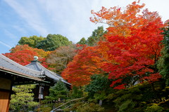 霊鑑寺（特別公開）