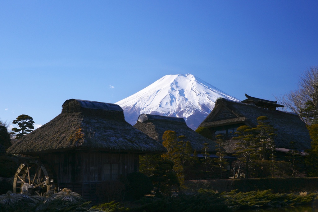 忍野