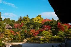 _DSC6661仁和寺