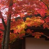 常寂光寺仁王門